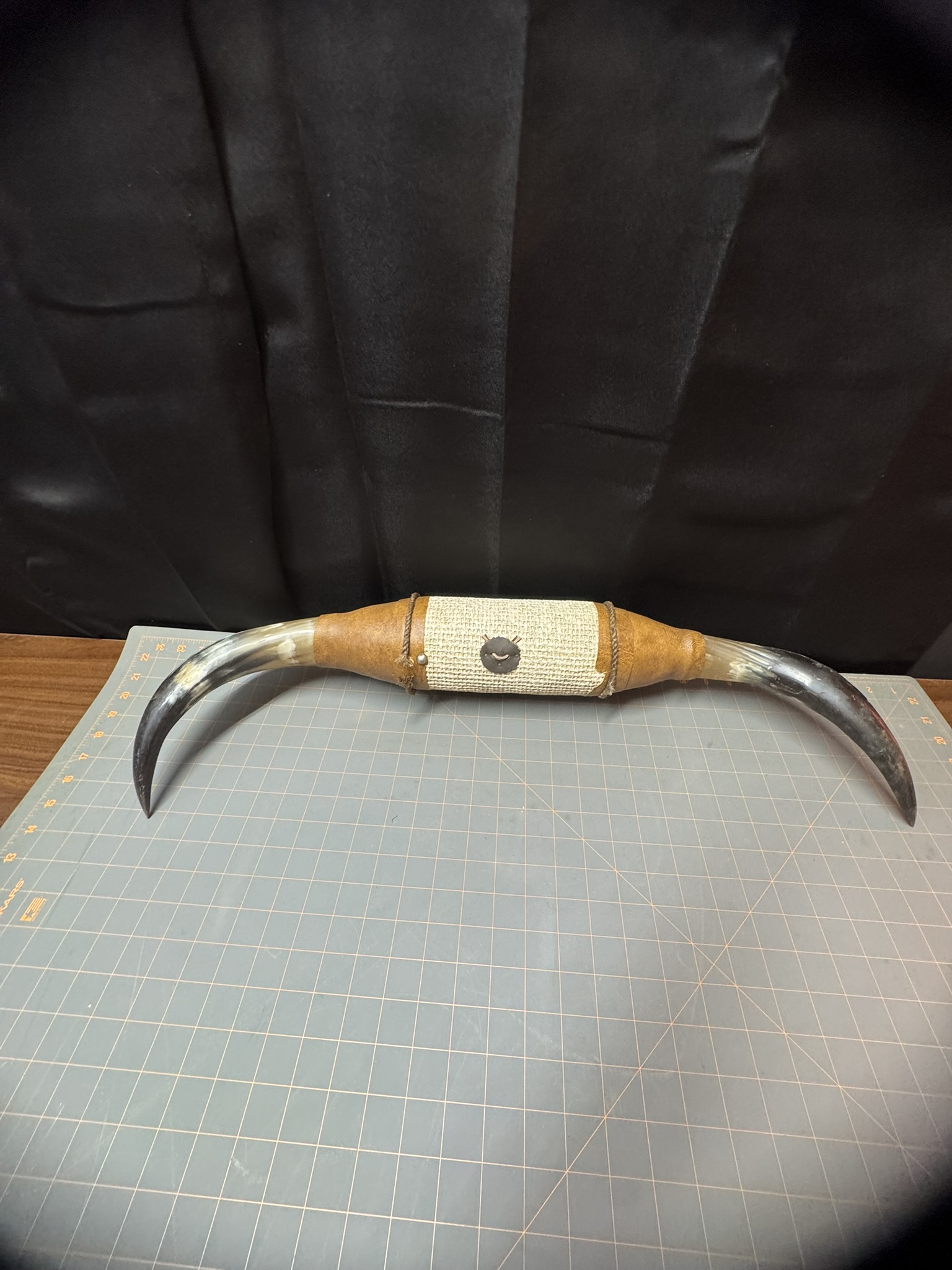 Authentic Large Steer Horns - Image 1