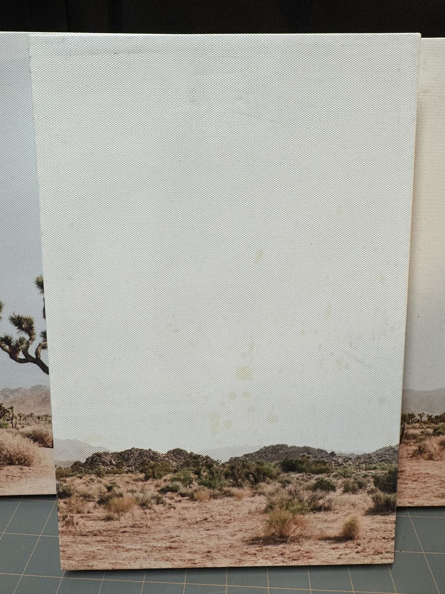 Joshua Tree 3-Piece Canvas Print - Image 2