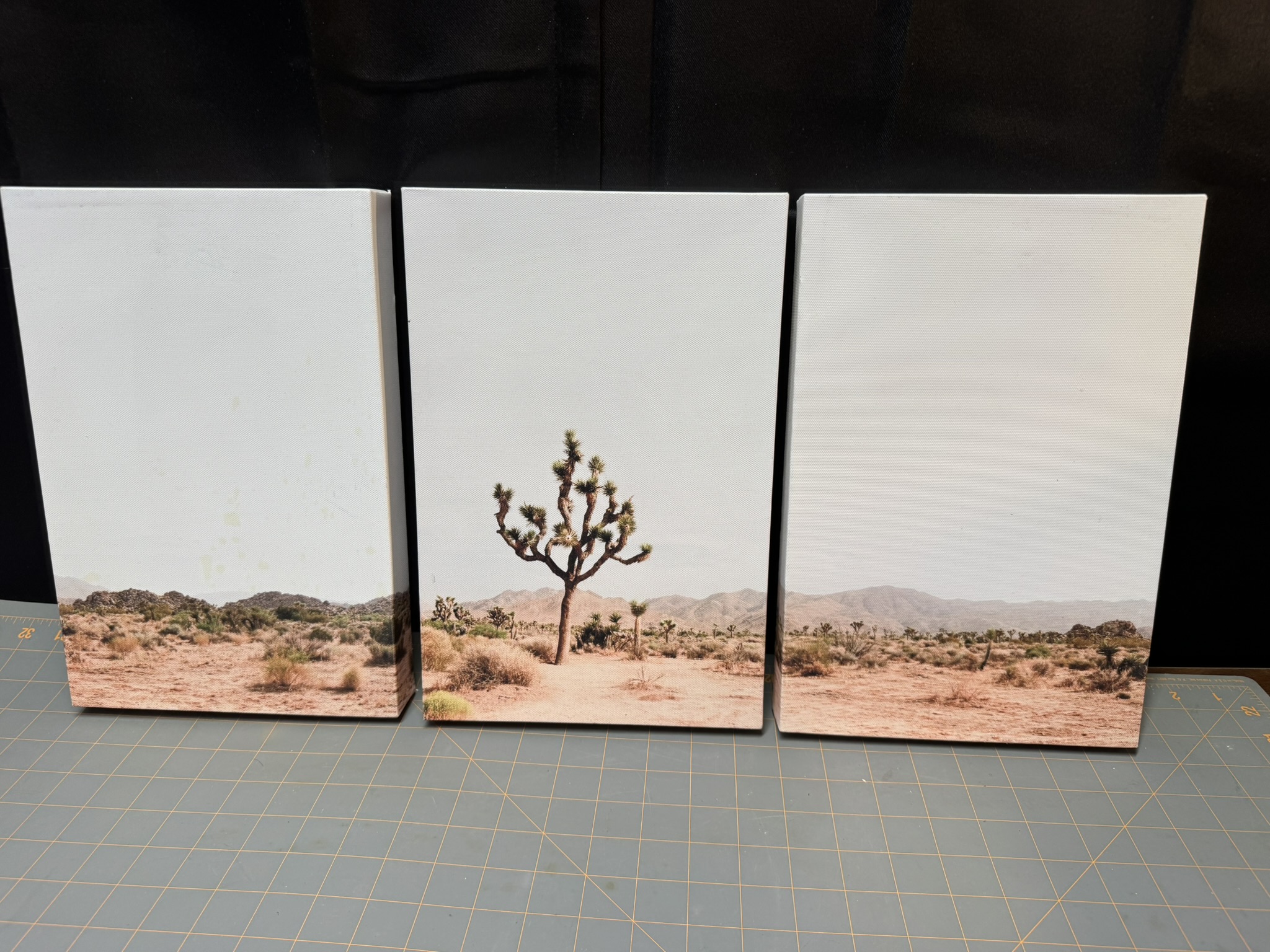 Joshua Tree 3-Piece Canvas Print