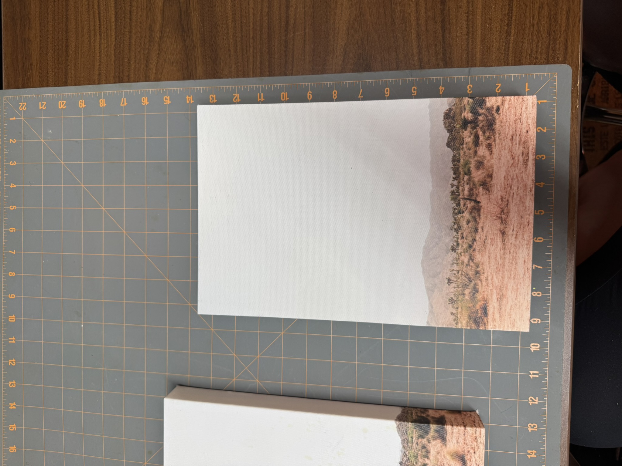 Joshua Tree 3-Piece Canvas Print - Image 3