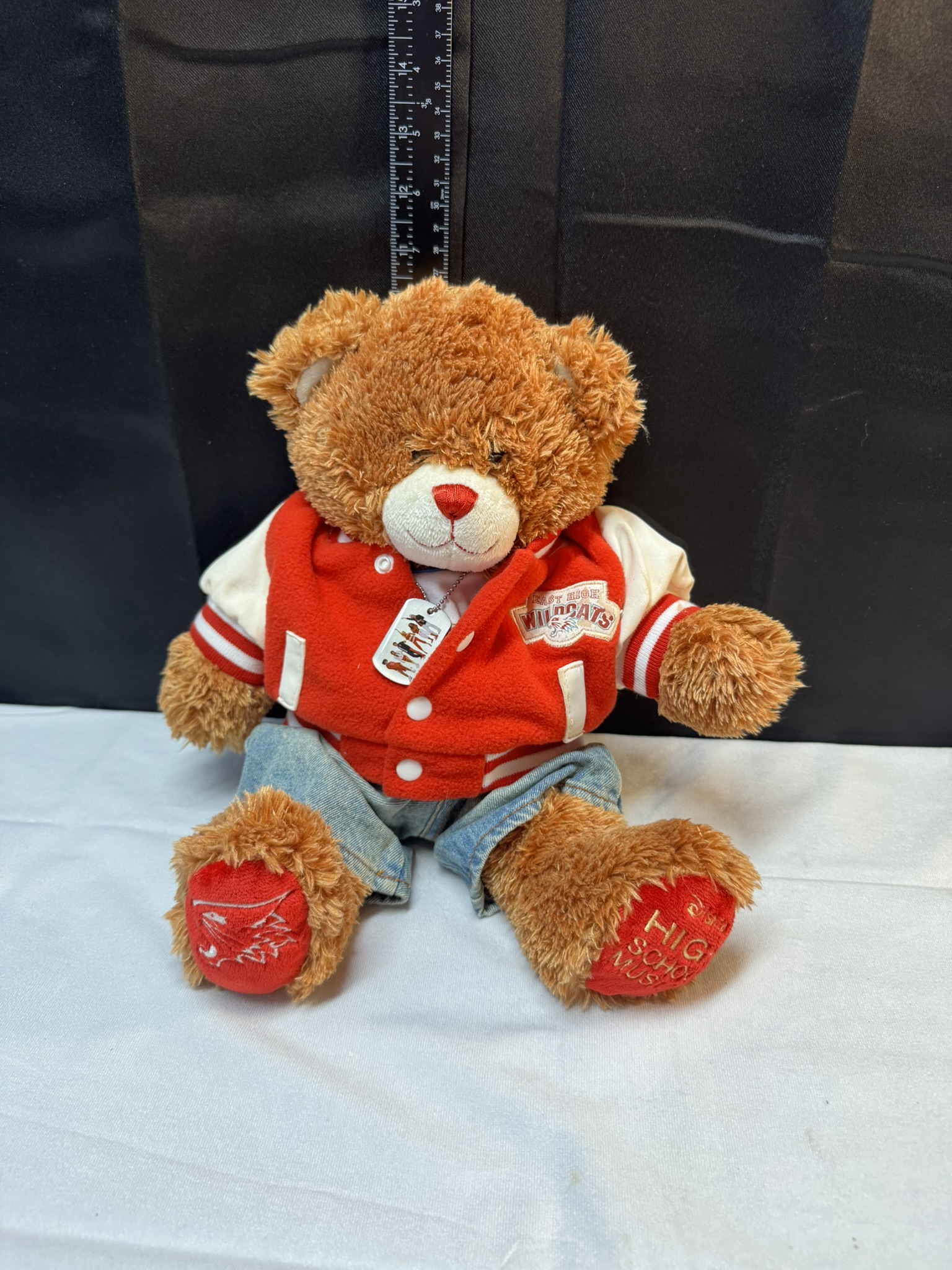 Disney High School Musical Build a Bear